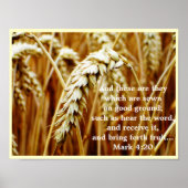 Parable of the Sower Poster (Voorkant)