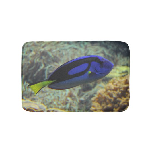 Paracanthurus hepatus badmat (Voorkant)