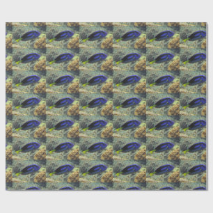 Paracanthurus hepatus cadeaupapier