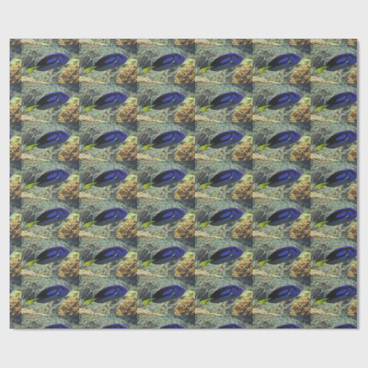 Paracanthurus hepatus cadeaupapier (Vlak)