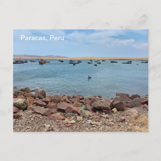 Paracas, Peru Briefkaart (Voorkant)