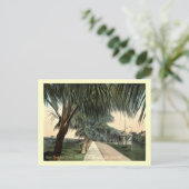 Parade Ground, Barracks, Key West FL  Briefkaart (Staand voorkant)