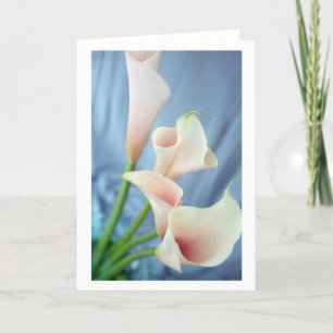 Parade White Calla Lily Wenskaarten Kaart