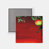 Paradiesapfel Magneet (Voorkant / Achterkant)