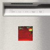 Paradiesapfel Magneet (Insitu (Vaatwasser))