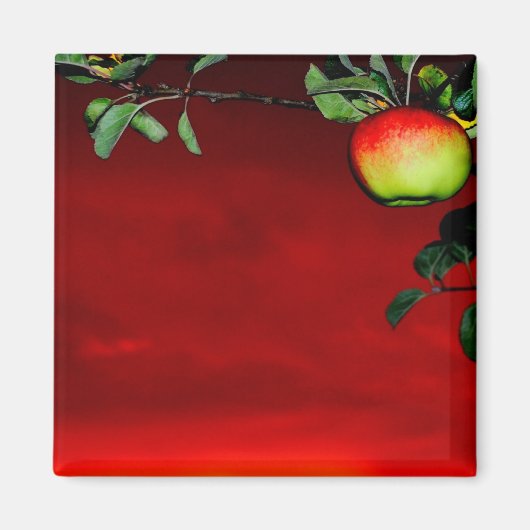 Paradiesapfel Magneet (Voorkant)