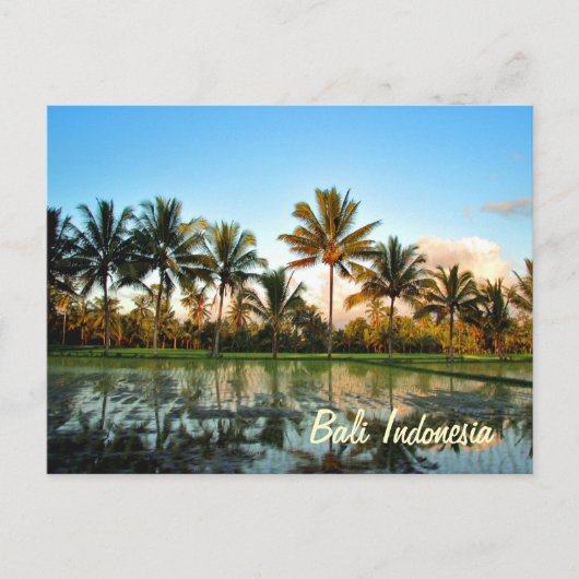 Paradijs Foto Tropische palmbomen Bali Indonesië Briefkaart (Voorkant)