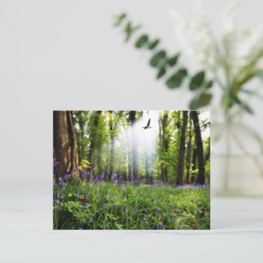 paradijs gevonden briefkaart (Staand voorkant)