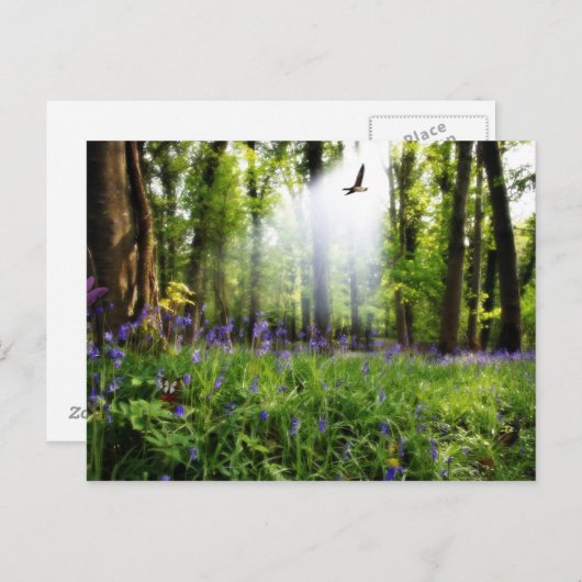 paradijs gevonden briefkaart (Voorkant / Achterkant)