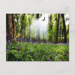 paradijs gevonden briefkaart