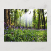 paradijs gevonden briefkaart (Voorkant)