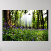 paradijs gevonden poster (Voorkant)