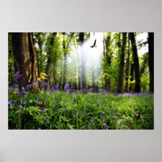 paradijs gevonden poster (Voorkant)