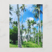 Paradijs in de Stille Oceaan Briefkaart (Voorkant)