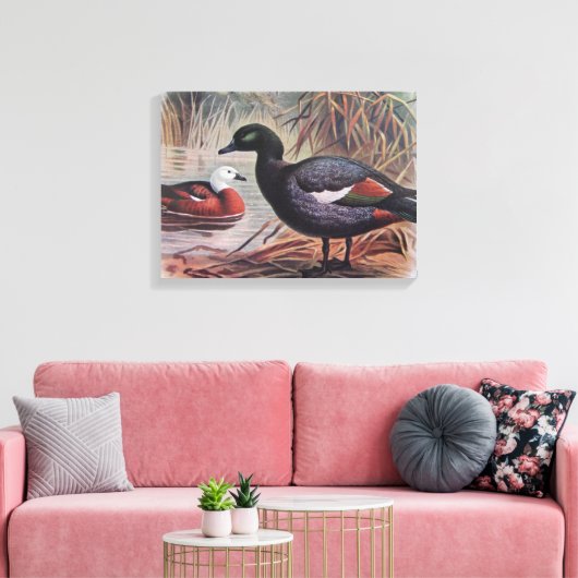  paradijs Shelduck Canvas Afdruk (Insitu (Woonkamer))