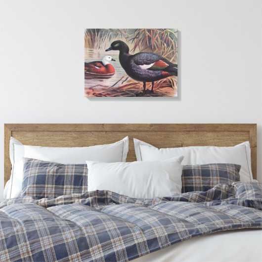  paradijs Shelduck Canvas Afdruk (Insitu (Slaapkamer))