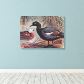 paradijs Shelduck Canvas Afdruk (Insitu (Houten vloer))