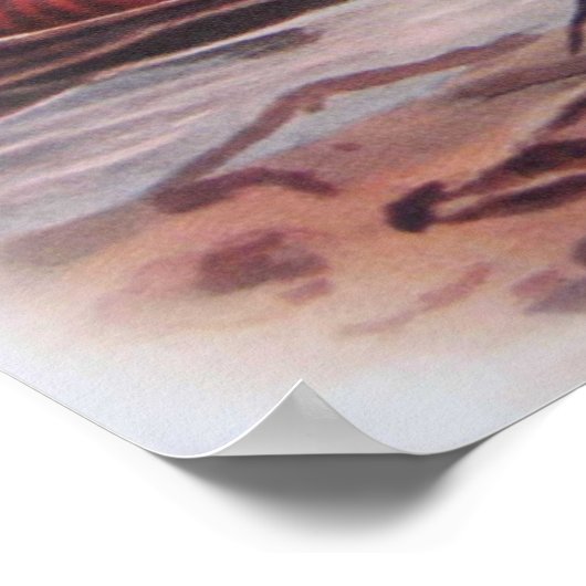  paradijs Shelduck Poster (Hoek)