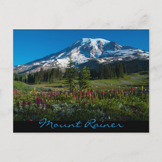 Paradijs weiden wilde bloemen briefkaart (Voorkant)