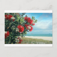 Paradijselijk strand Nieuw-Zeelandse zomer