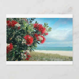 Paradijselijk strand Nieuw-Zeelandse zomer Briefkaart