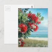 Paradijselijk strand Nieuw-Zeelandse zomer Briefkaart (Voorkant / Achterkant)