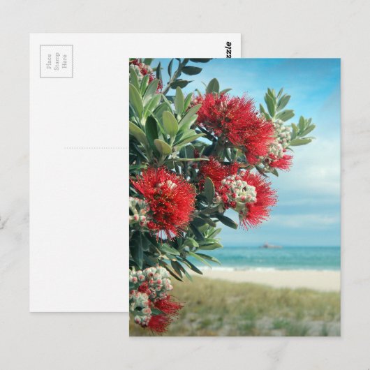 Paradijselijk strand Nieuw-Zeelandse zomer Briefkaart (Voorkant / Achterkant)