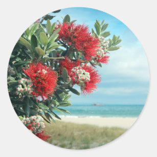 Paradijselijk strand Nieuw-Zeelandse zomer Ronde Sticker