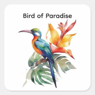 Paradijsvogel, aanpasbaar vierkante sticker