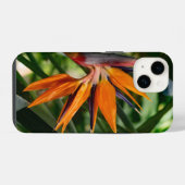 Paradijsvogel bloeit. iPhone hoesje (Achterkant horizontaal)