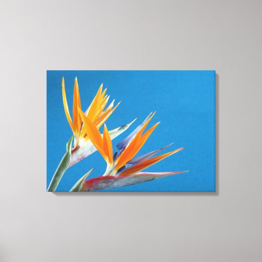 Paradijsvogel bloemenprint canvas afdruk (Voorkant)