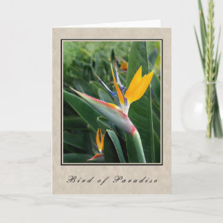 Paradijsvogel - BloemenReeks Kaart