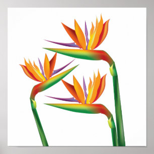 Paradijsvogel Bloemstuk Muurprint Kunst Poster