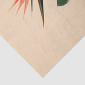 Paradijsvogel Botanische Kunst Decoupage Tissuepapier (Detail)