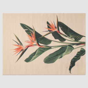 Paradijsvogel Botanische Kunst Decoupage Tissuepapier