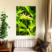 Paradijsvogel Canvas Afdruk