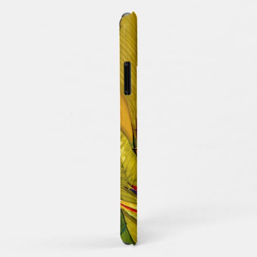 Paradijsvogel Case-Mate iPhone Case (Achterkant/rechts)