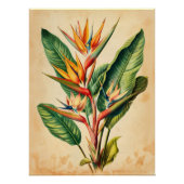  Paradijsvogel Decoupage Perfect Poster (Voorkant)