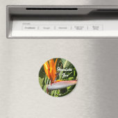 Paradijsvogel, dierentuin Honolulu Magneet (Insitu (Vaatwasser))