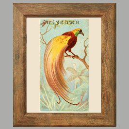 Paradijsvogel, Galerij Wandset van 6, 4/6 Poster