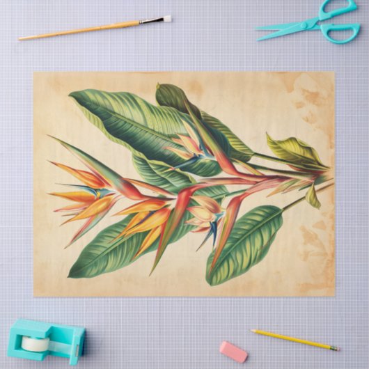  Paradijsvogel Illustratie Decoupage Tissuepapier (Craft)