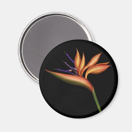 Paradijsvogel magneet (Voorkant / Achterkant)