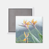 Paradijsvogel magneet (Voorkant / Achterkant)