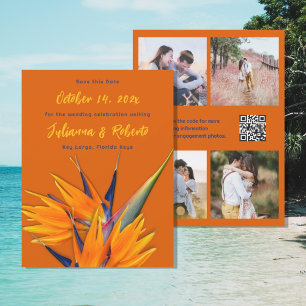 Paradijsvogel Meerfoto's Huwelijksaankondiging Save The Date