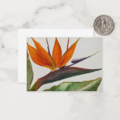 Paradijsvogel Notecard Notitiekaartje (Voorkant / Achterkant in situ)