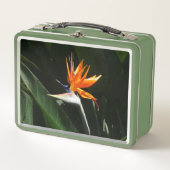 Paradijsvogel Oranje Tropische Bloem (Voorkant)