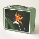 Paradijsvogel Oranje Tropische Bloem (Achterkant)
