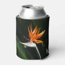 Paradijsvogel Oranje Tropische Bloem