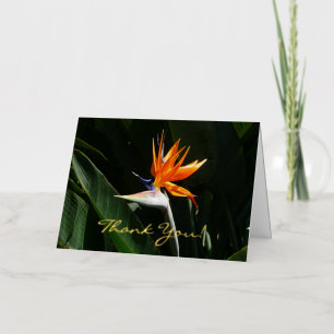 Paradijsvogel Oranje Tropische Bloem Folie Wenskaart