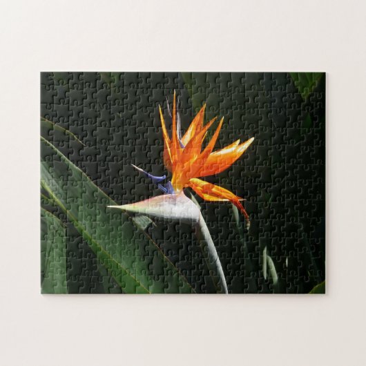 Paradijsvogel Oranje Tropische Bloem Legpuzzel (Horizontaal)